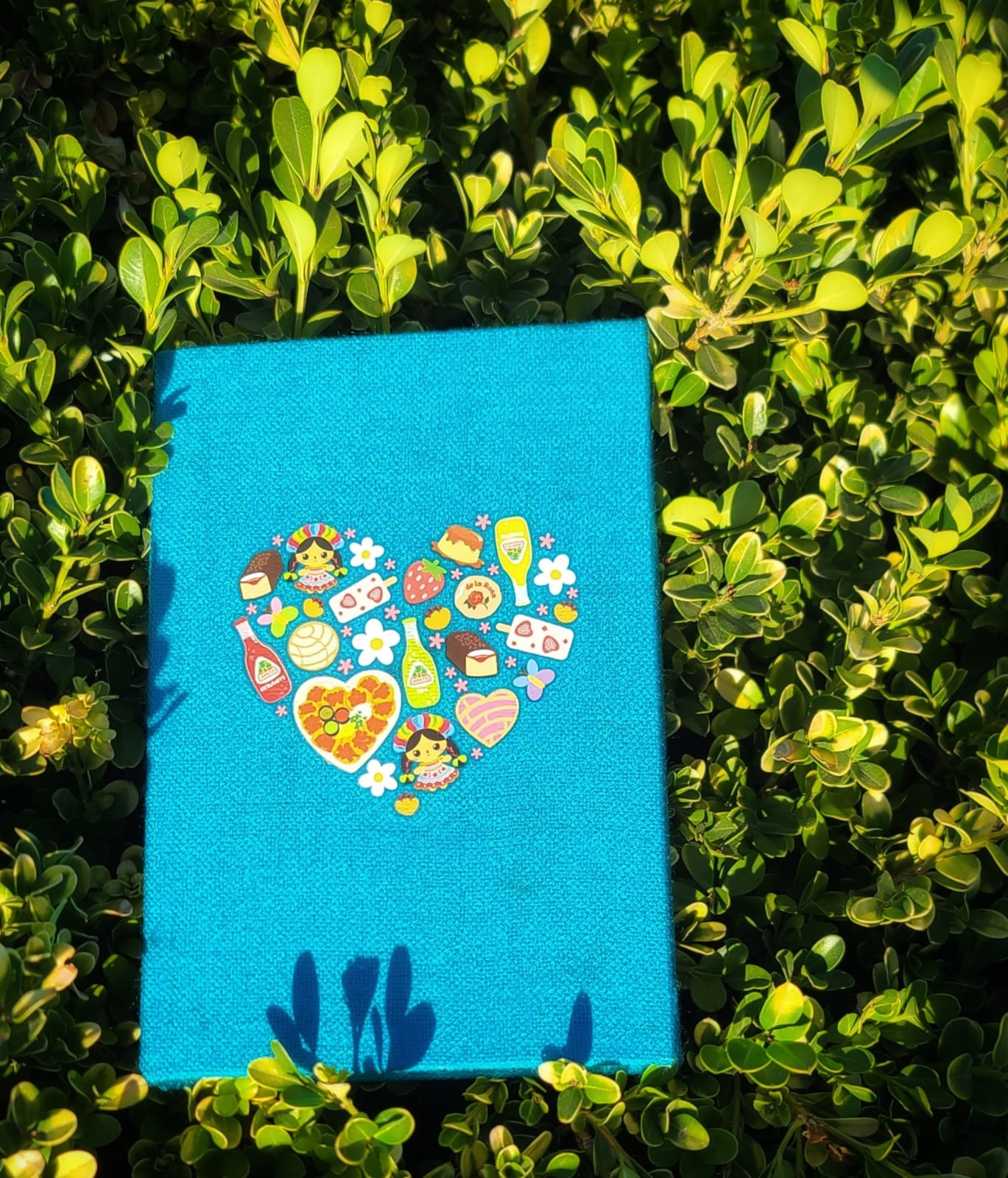 Colorful Journals