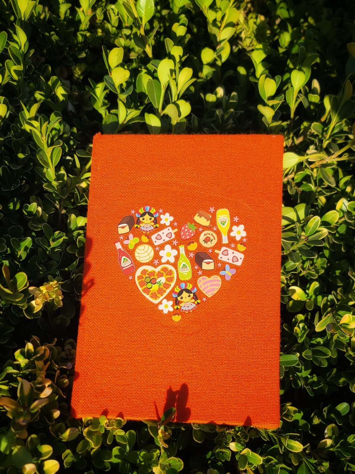 Colorful Journals